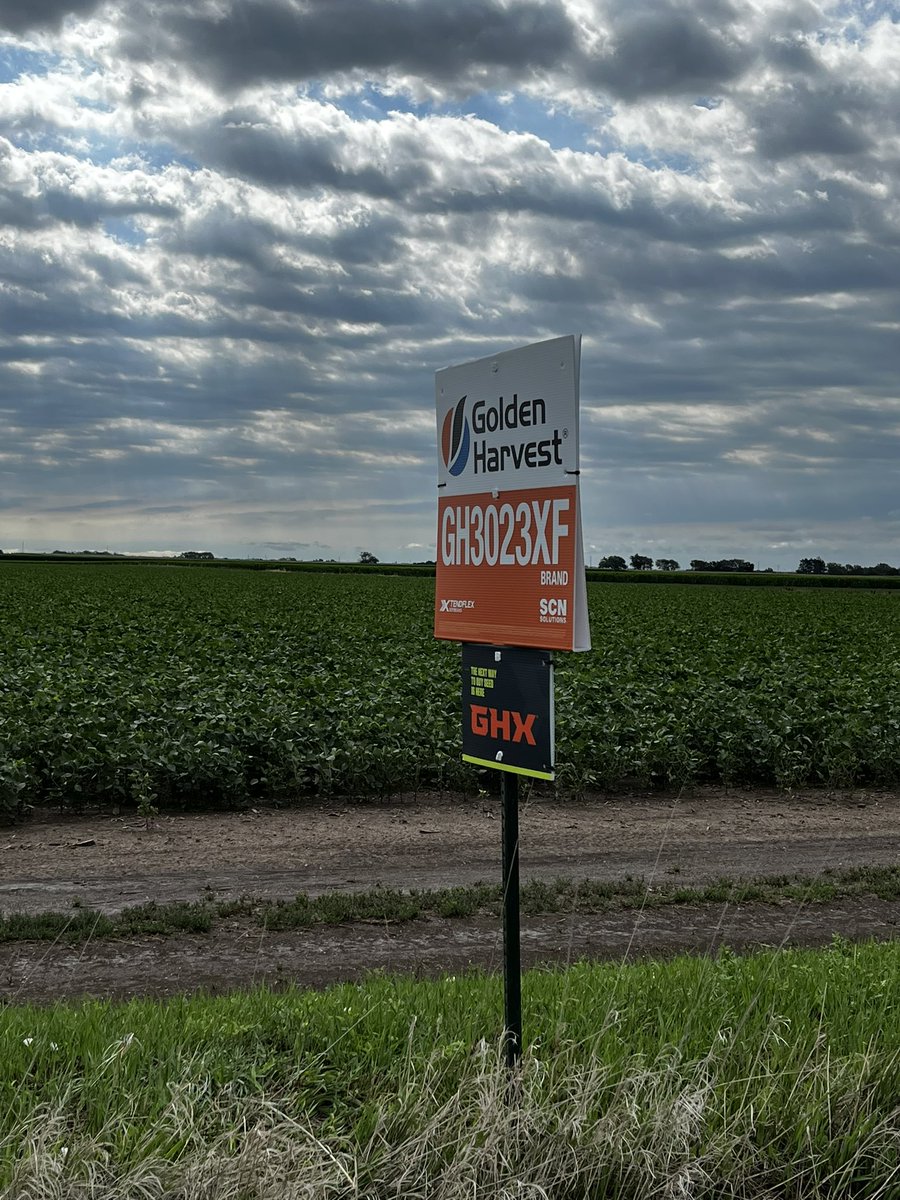 CGI Seed tweet media