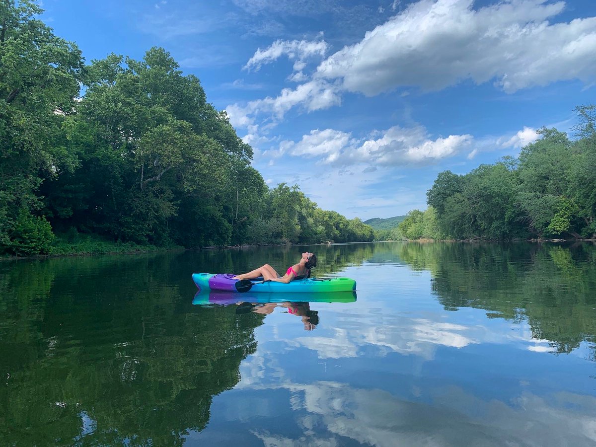 Seets💫 tweet media