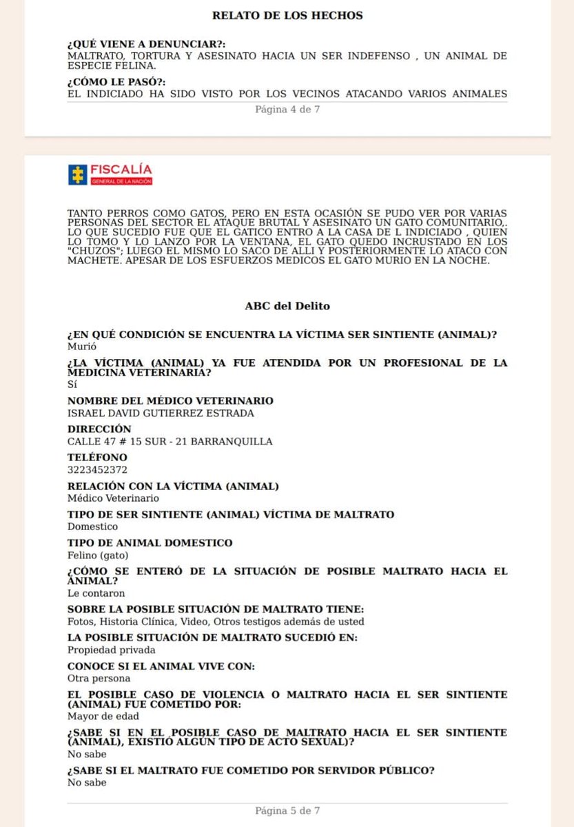 poramorarocky1's tweet photo. ¡Interpuesta la denuncia!

Soledad - Atlantico

Batman era un gato comunal, entro a la casa de este señor y este lo lanzó desde un segundo piso, dejándolo incrustado en los "Chuzos" de la reja, posteriormente lo atacó con machete.

@alcaldiabquilla @FiscaliaCol @andreanimalidad https://t.co/6uUmW9Sb5i