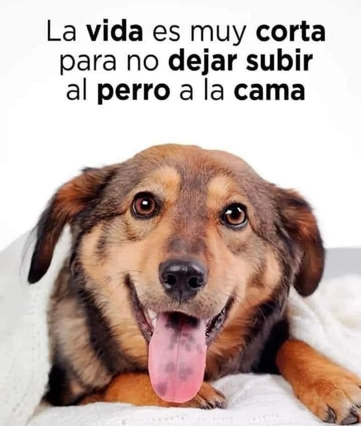Sabueson's tweet photo. Déjalo subir 
No pasa nada https://t.co/cqw13cMqC6