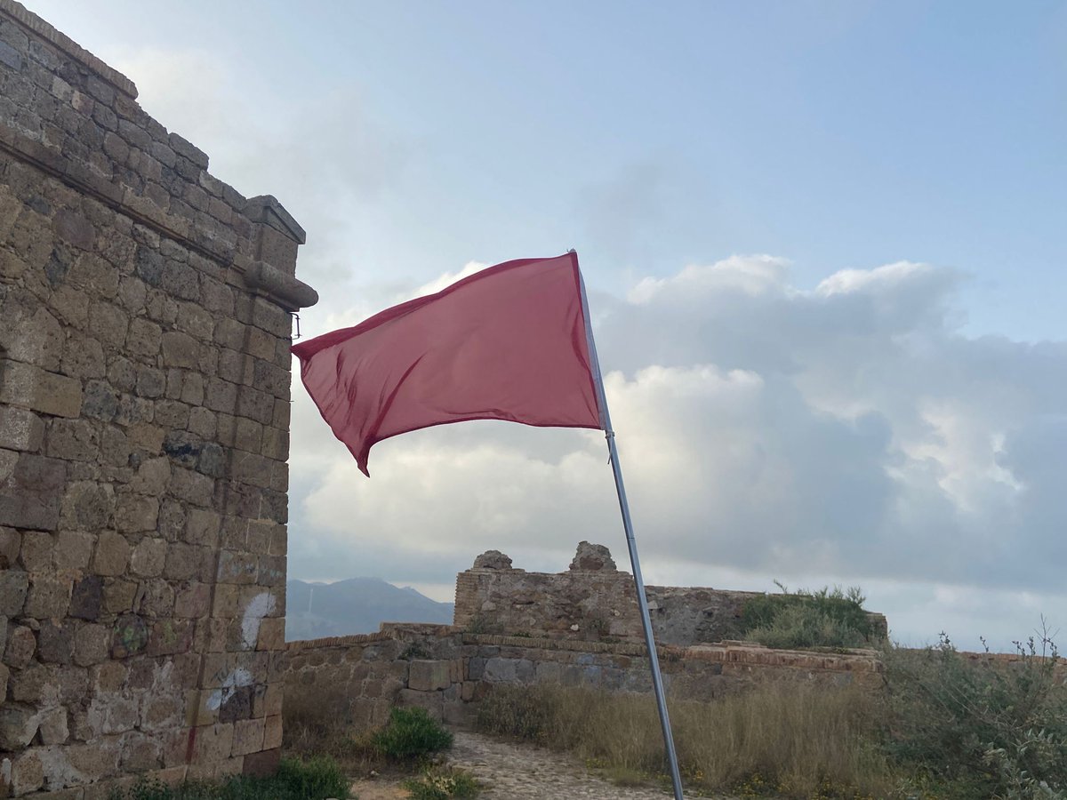 CartagenasYCartagosDelMundo tweet media