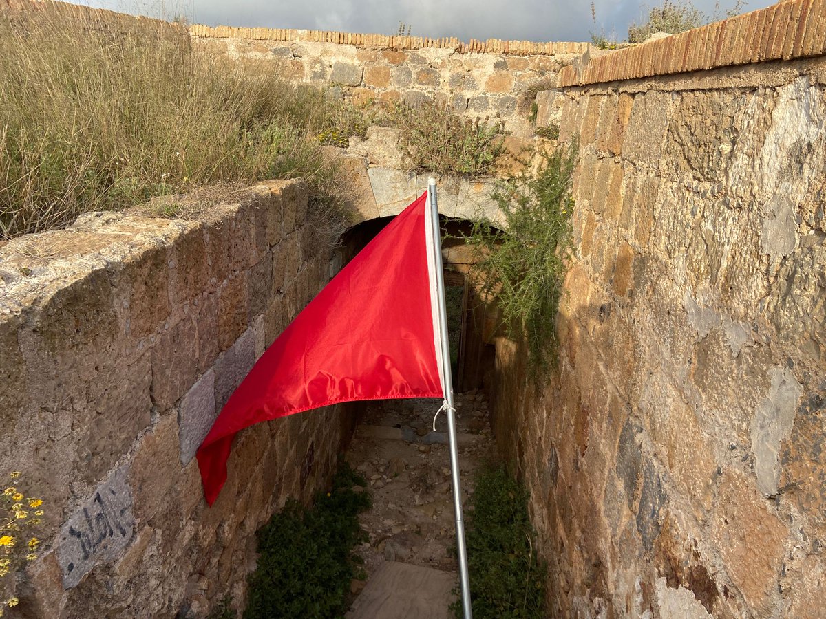 CartagenasYCartagosDelMundo tweet media