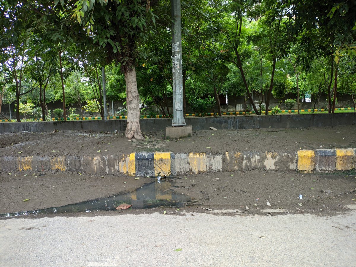 vinayp2000's tweet photo. the muck of the drain has been spread on the road/pavement to dry ( rainy season?),will be lifted in few days. Hard to believe @noida_authority adopts such primitive, unhygienic sanitation  practice to clean the drains, that too during rains. https://t.co/FRXR5pWWzb