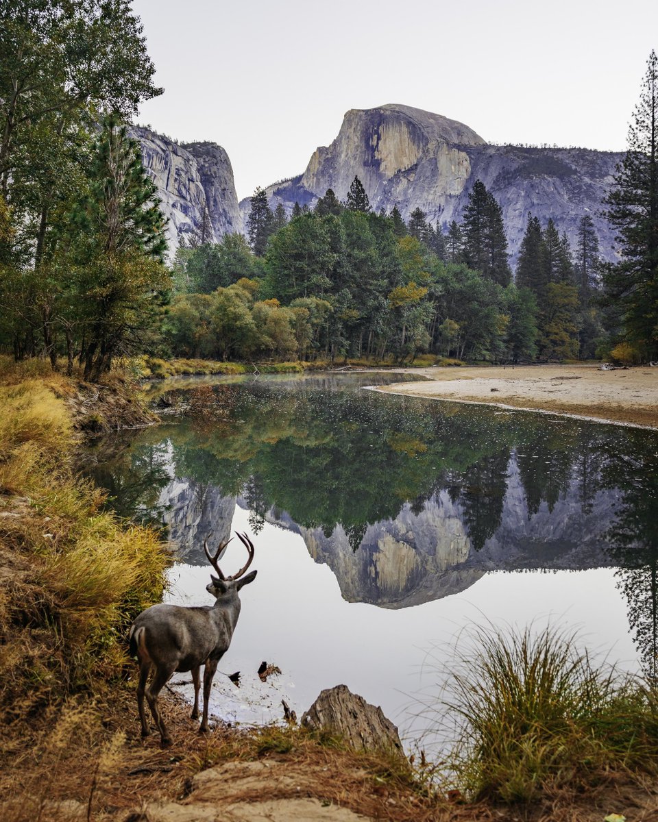 glennleerob's tweet photo. Yosemite in the Fall 🍂🍁🔥 https://t.co/5h970zfitl