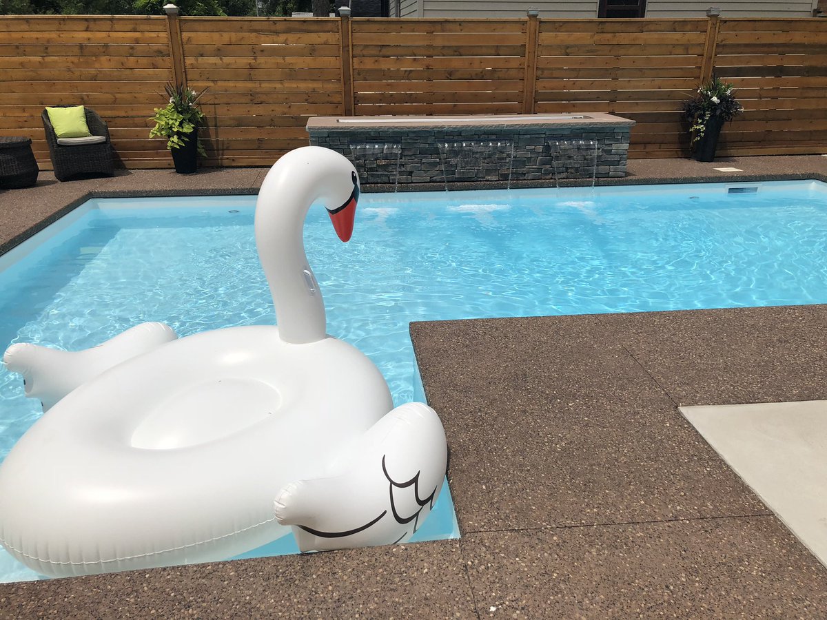 OurPoolStoreInc's tweet image. Do your pool floats have a family name? 

Sally the swan 
Ron the swan 

We want to hear how creative you are! 

#poolfloat #poolsupplies #canada