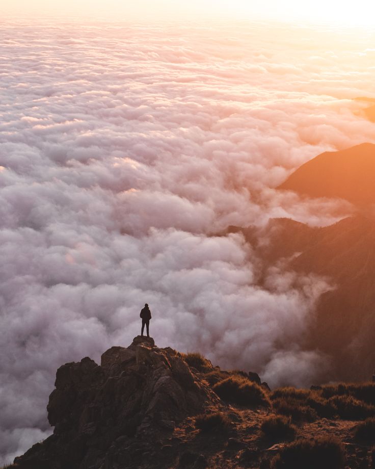 AshToken tweet media