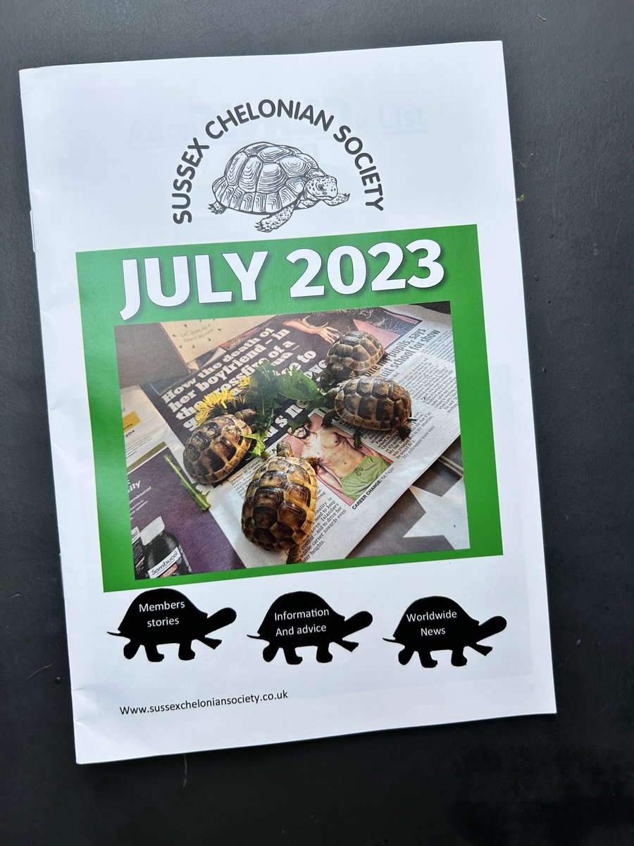 driftwoodbysea's tweet photo. Hector's 2 minutes of fame! Featured in the The Sussex Chelonian Society July newsletter! https://t.co/jaAgFAjg26 https://t.co/qXwkbvEZmg