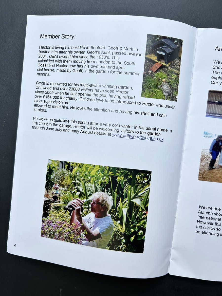 Hector's 2 minutes of fame! Featured in the The Sussex Chelonian Society July newsletter! driftwoodbysea.co.uk