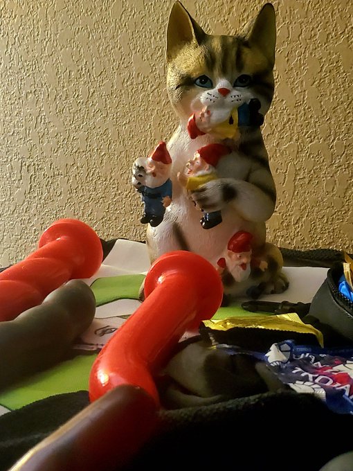 Beware of pussies at play when you  turn your back on them. :-) https://t.co/O3NiJuhXnu