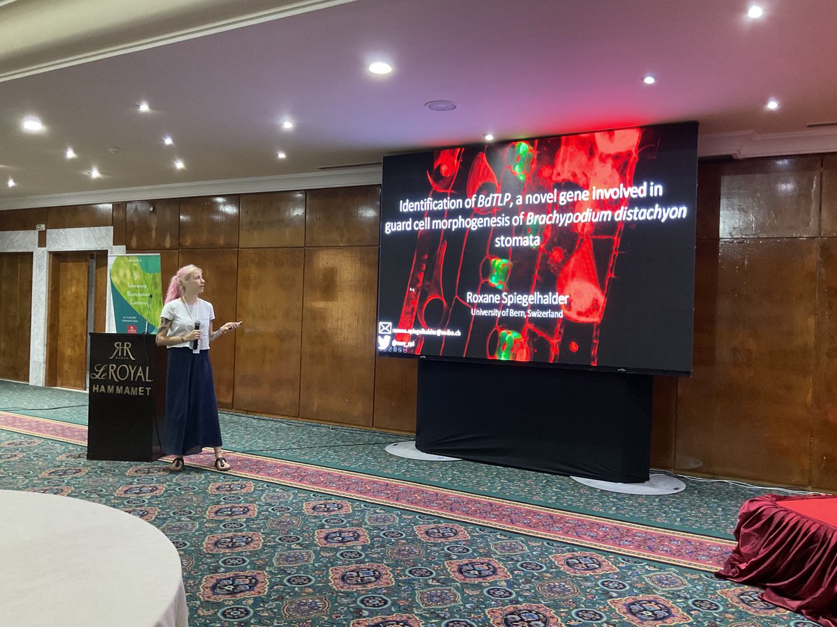 Michael Raissig @michaelraissig.bsky.social tweet media