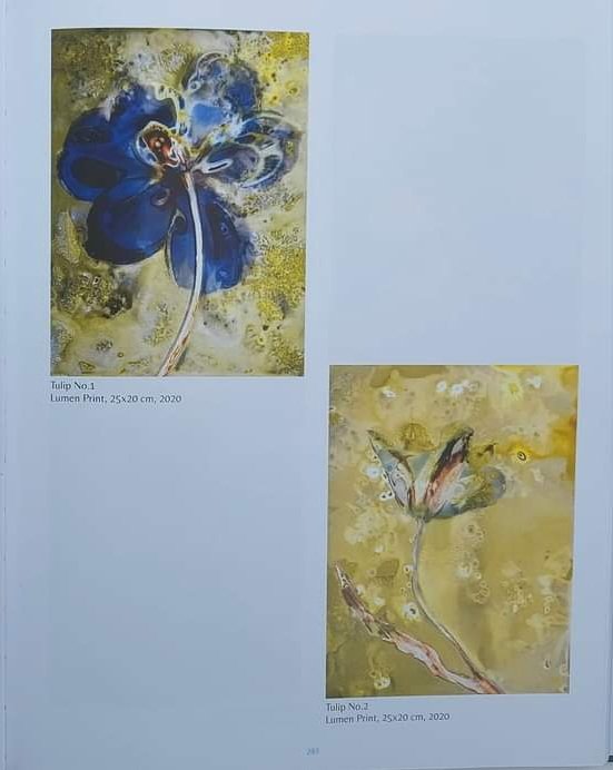 Sarah Darke Arts tweet media