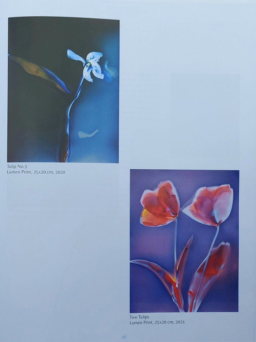 Sarah Darke Arts tweet media