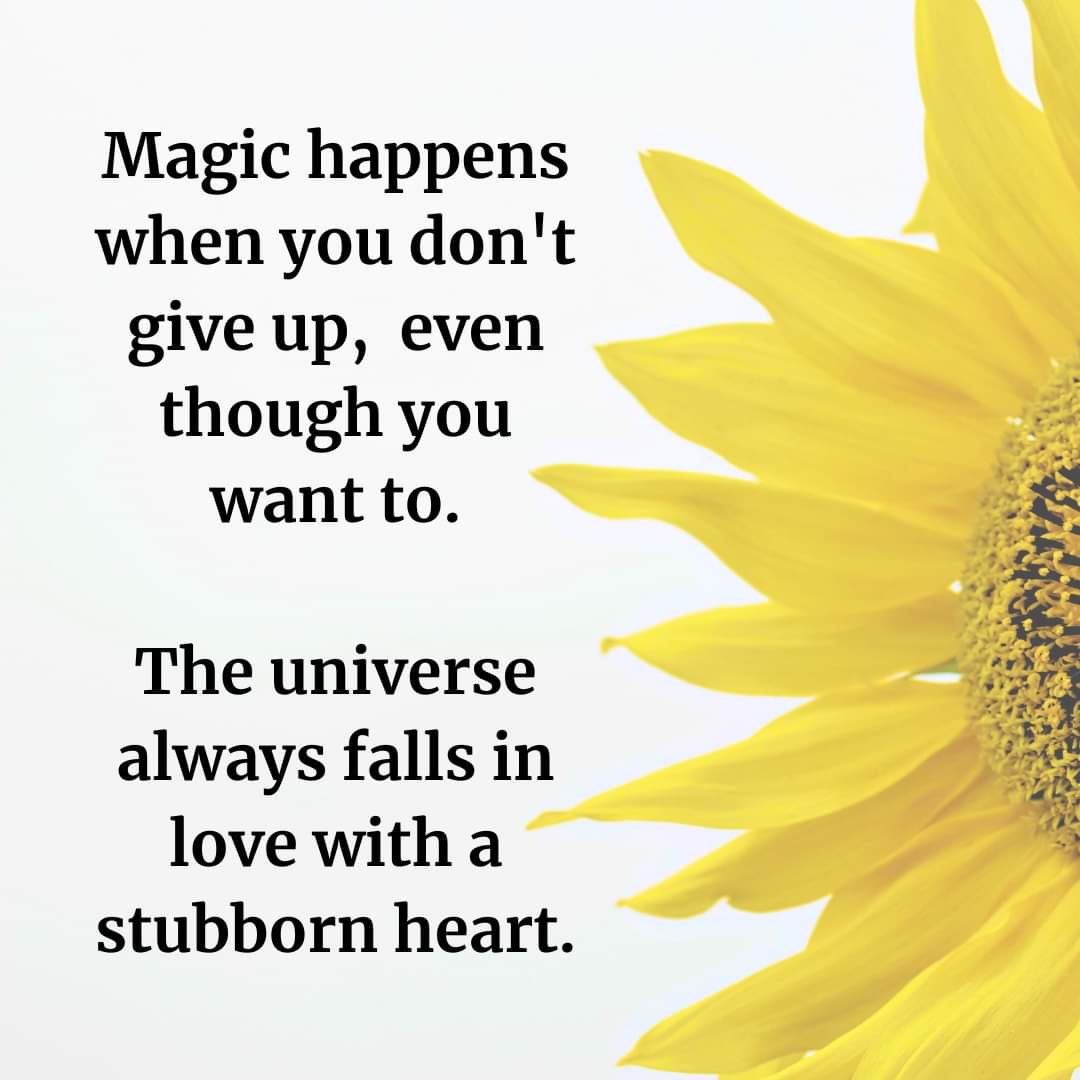 Adriana Allegri tweet media