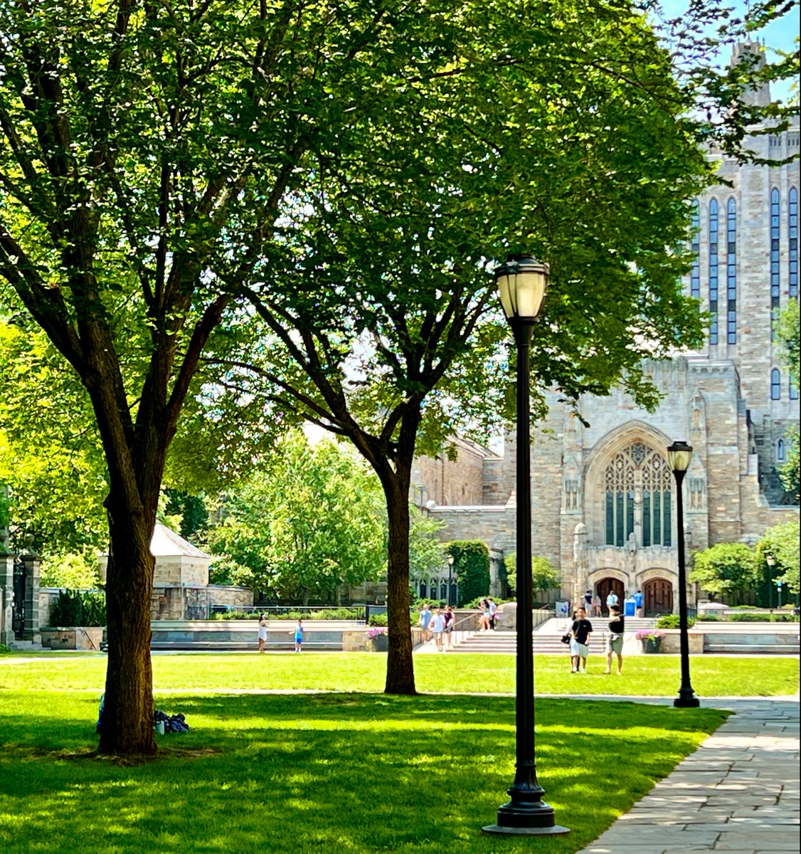 Yale's tweet photo. #Yale #NewHaven #Summer https://t.co/YfOXKt2rdN