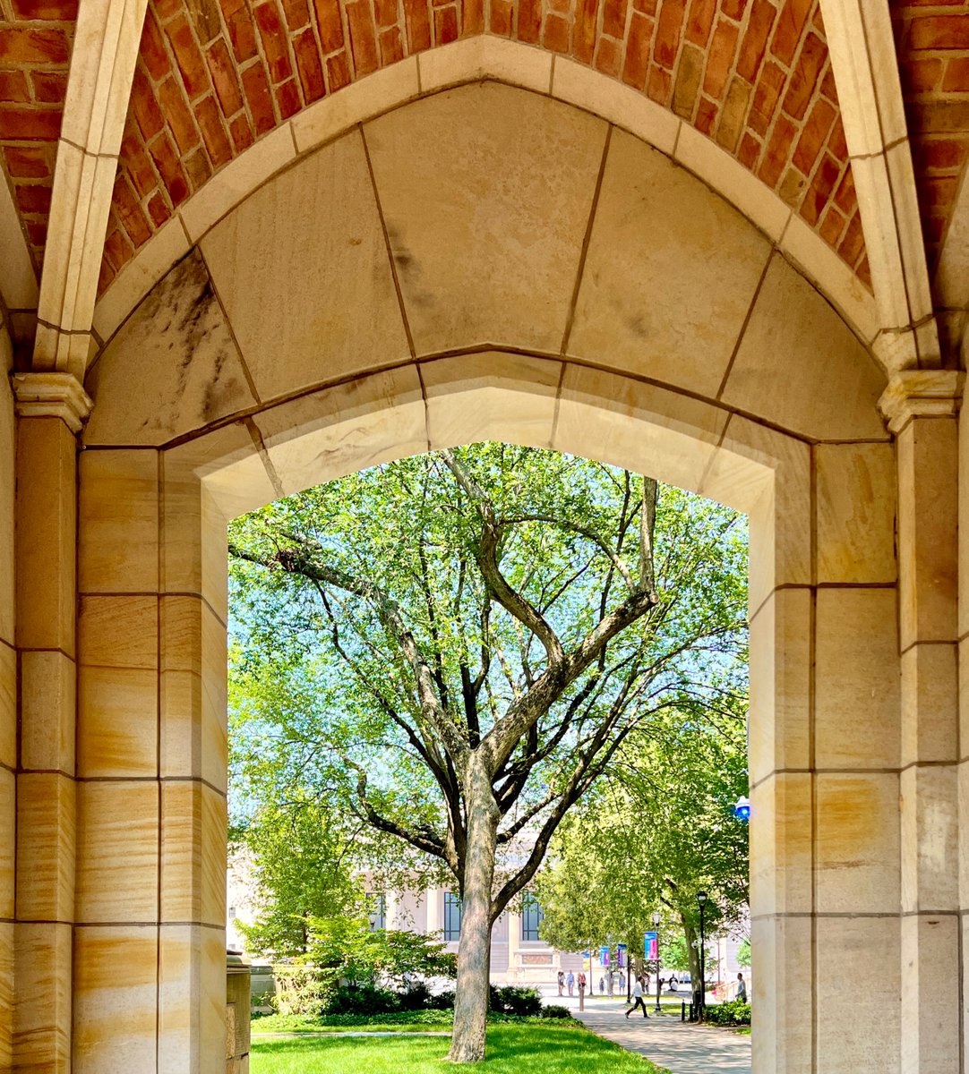 Yale's tweet photo. #Yale #NewHaven #Summer https://t.co/YfOXKt2rdN