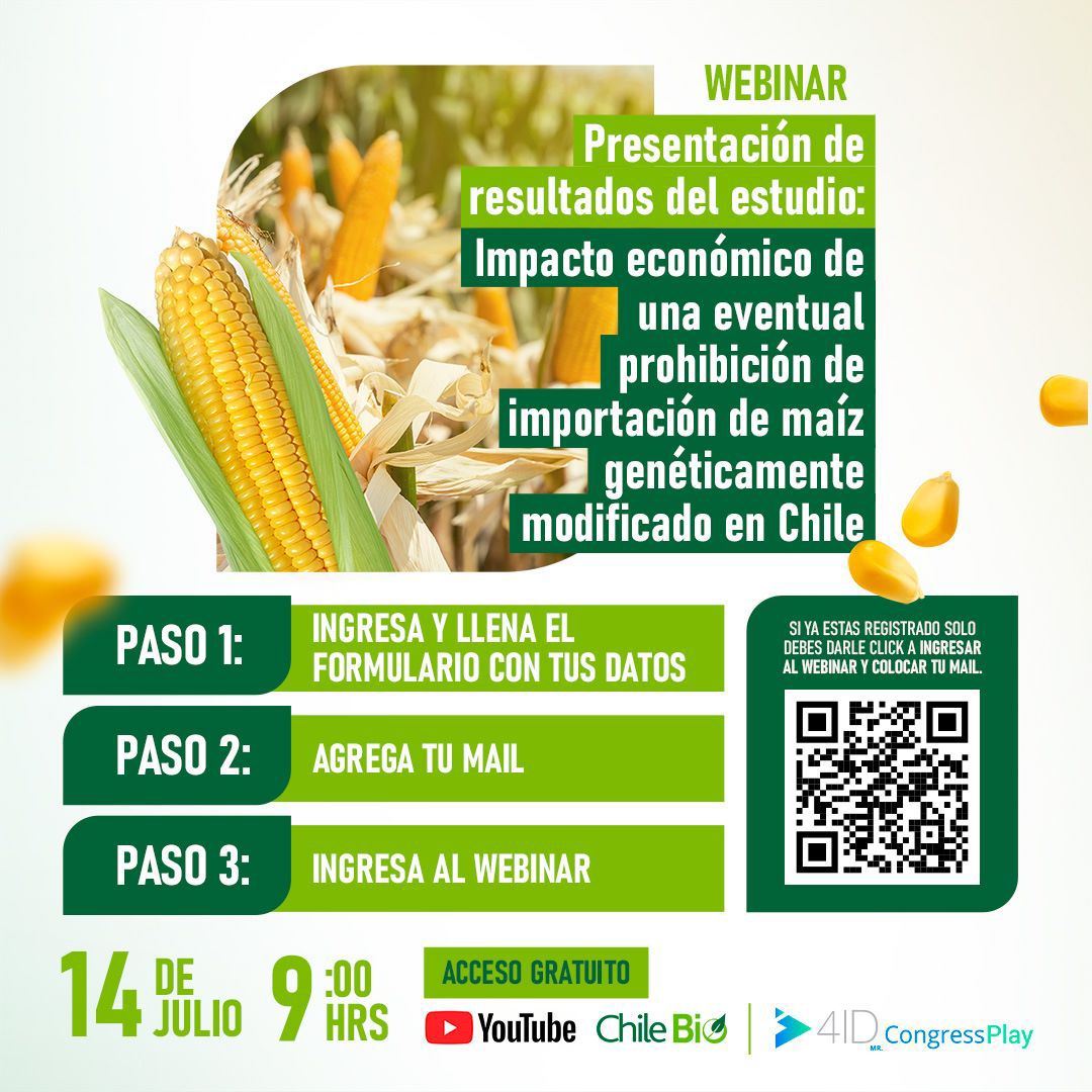 ChileBio_AG's tweet photo. No te pierdas nuestro próximo #webinar gratuito: "Presentación de resultados del estudio: Impacto económico de una eventual prohibición de importación de maíz genéticamente modificado en #Chile".  - Enlace de inscripción: https://t.co/McTRvI1urk

#biotecnologia #transgenico https://t.co/Ab1X4c7MVT