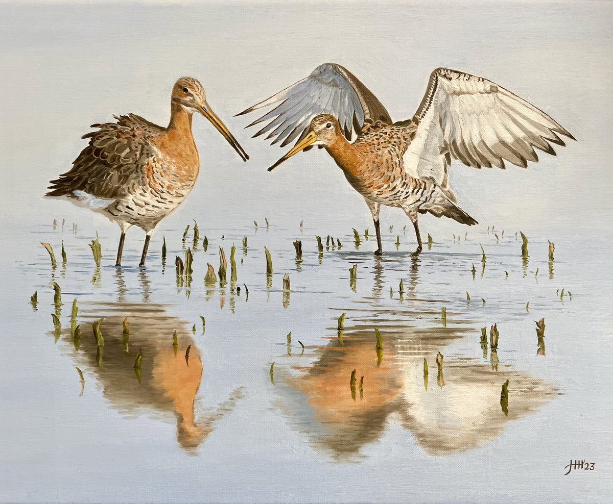 Finished 🎨 My new painting is called “Two godwits wading in shallow water” #godwit #bird  #wadingbird #oilpainting #art #artistsontwitter
