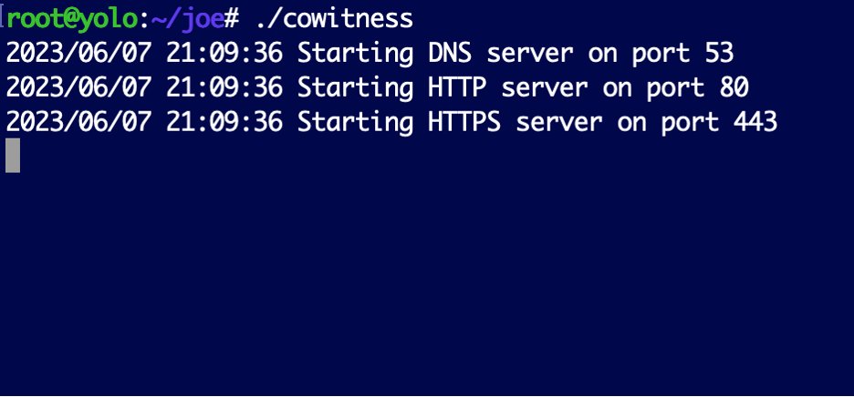 Are you a web tester who specializes in blind or out-of-band vulns? 

Check out CoWitness, a dope (stand alone) alternative to Collaborator by <a href="/TrustedSec/">TrustedSec</a> which adds URI and User-Agent.

github.com/stolenusername…

trustedsec.com/blog/introduci…