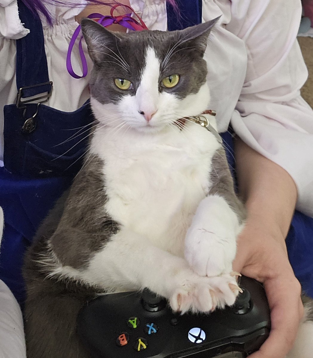 MommaSammu's tweet photo. @MicaBurton Sending you ALL THE GOOD VIBES
Also a cat pic to help you feel better after (he's warming up the controller for your recovery time) ❤️❤️ https://t.co/WtHBVQ0jt4