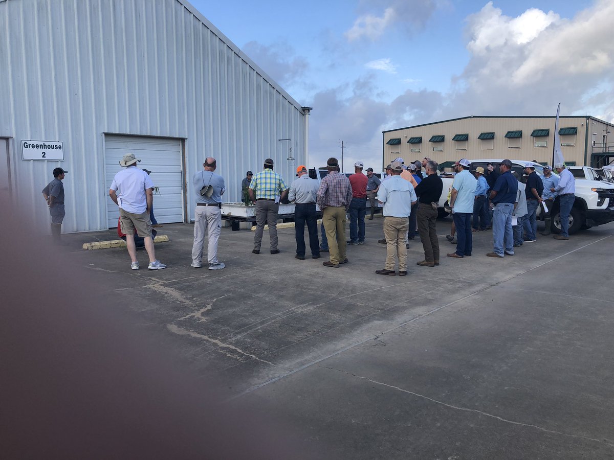 Steve Linscombe tweet media