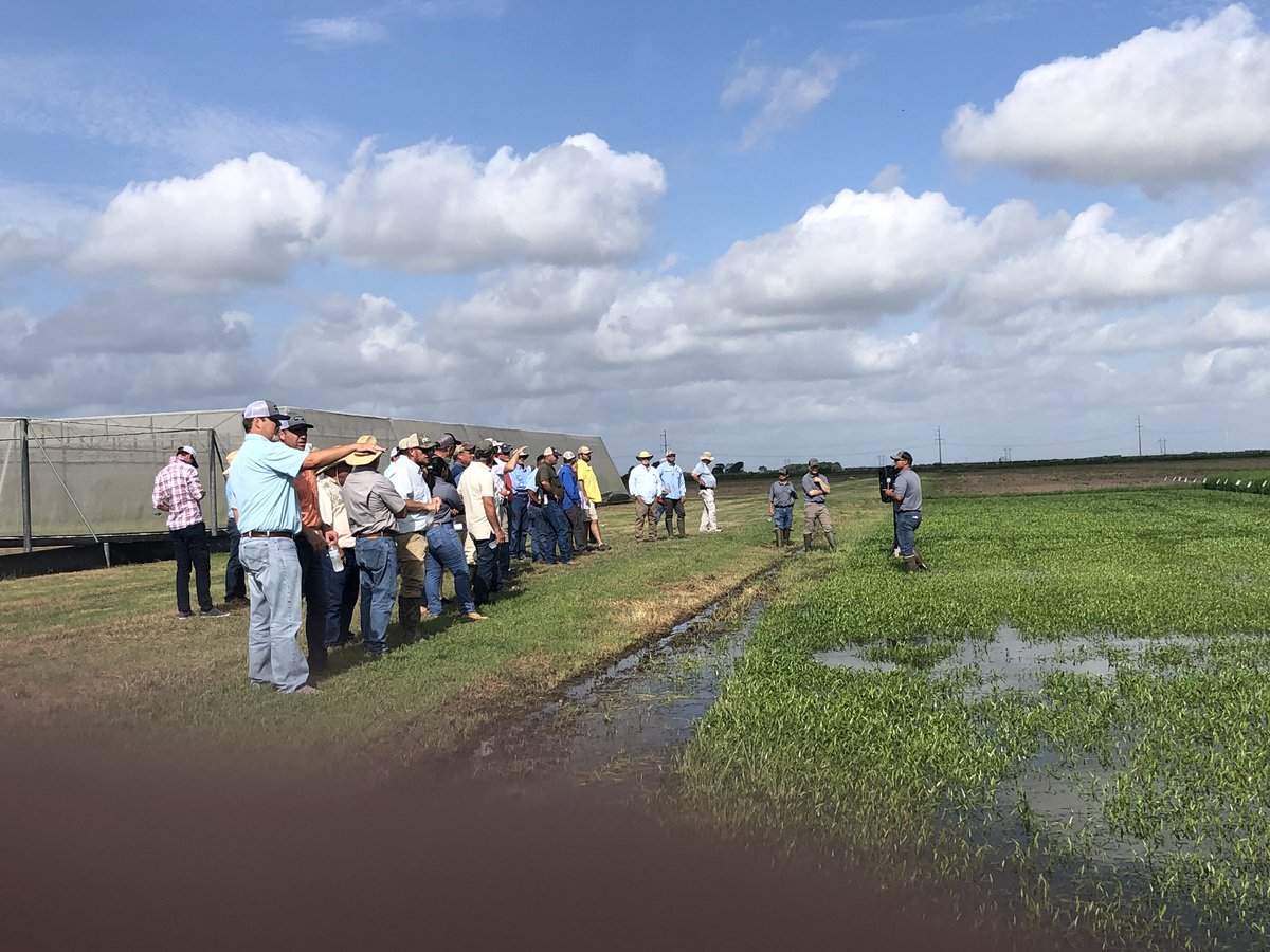 Steve Linscombe tweet media