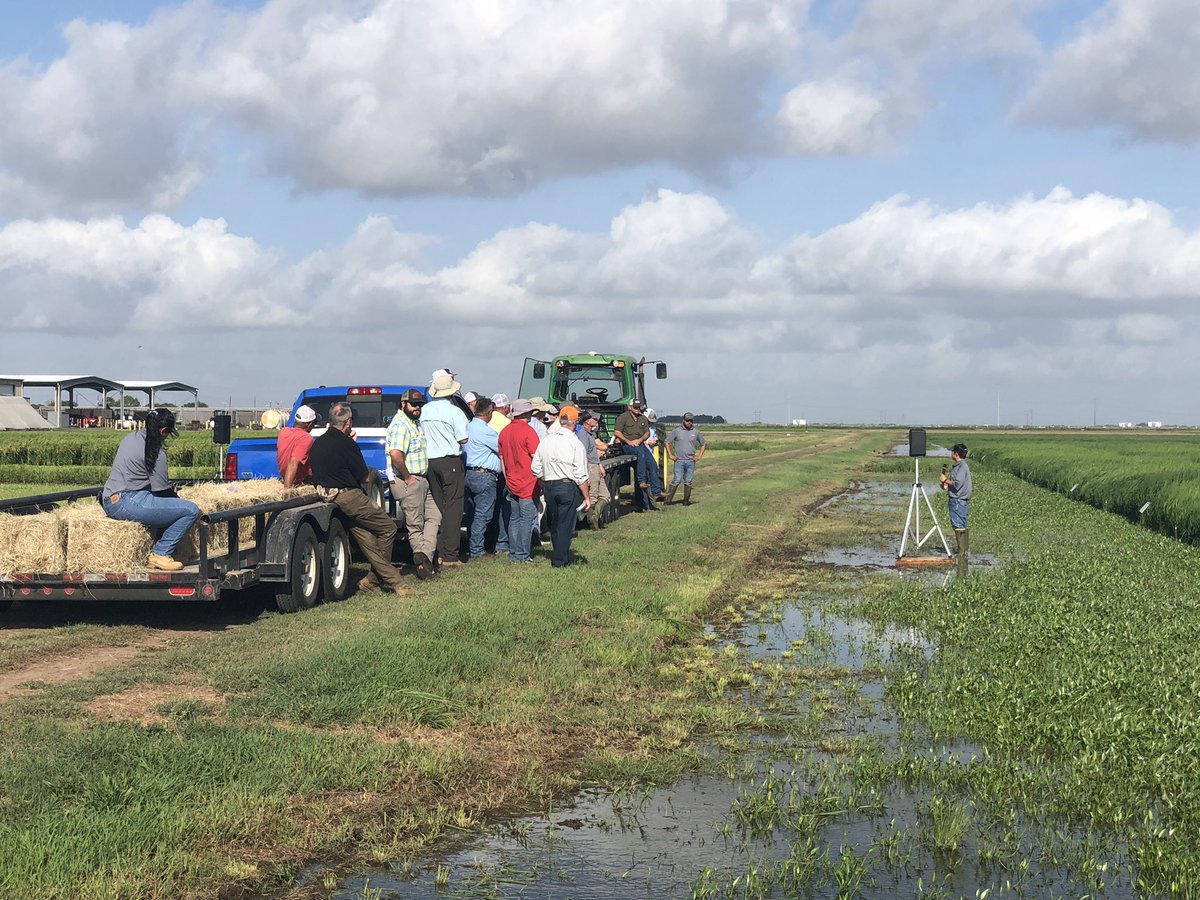 Steve Linscombe tweet media