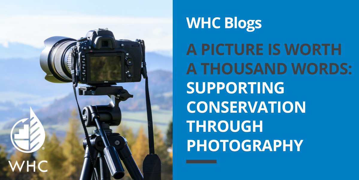 TandemGlobalOrg's tweet photo. Sustainability professionals often find themselves needing to make the case for #CorporateConservation. This blog post explores how #NaturePhotography can help support #conservation goals. https://t.co/DejyOLSuUR https://t.co/YgFBY5Htjo