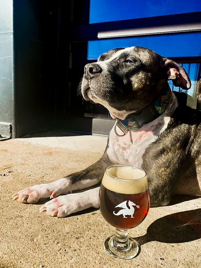 firemakerbeer's tweet image. Just a few of our FEROCIOUS Fire Maker Dogs 🥰

Our taproom is dog friendly, so don’t shy away from bringing your beast to have a brew with you, and don’t forget…we also have treats 😉

#dogfriendly #brewerydog #dogsofinstagram #brewery