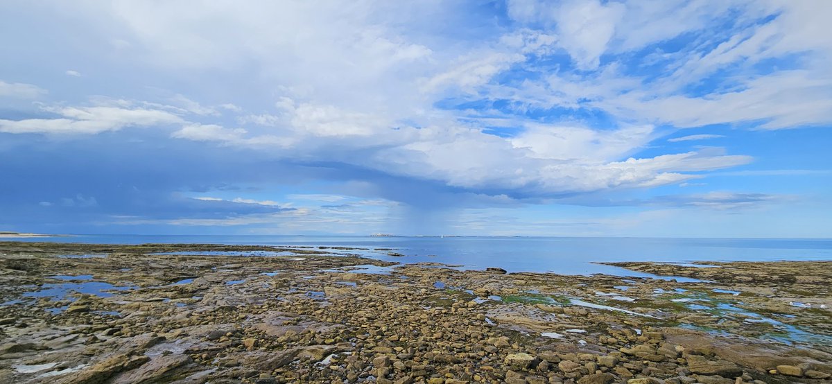 thefarnes tweet picture