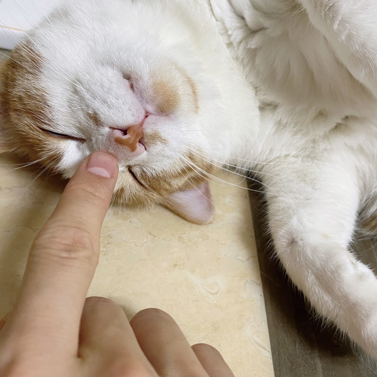 룽지 테라피💕💕💕