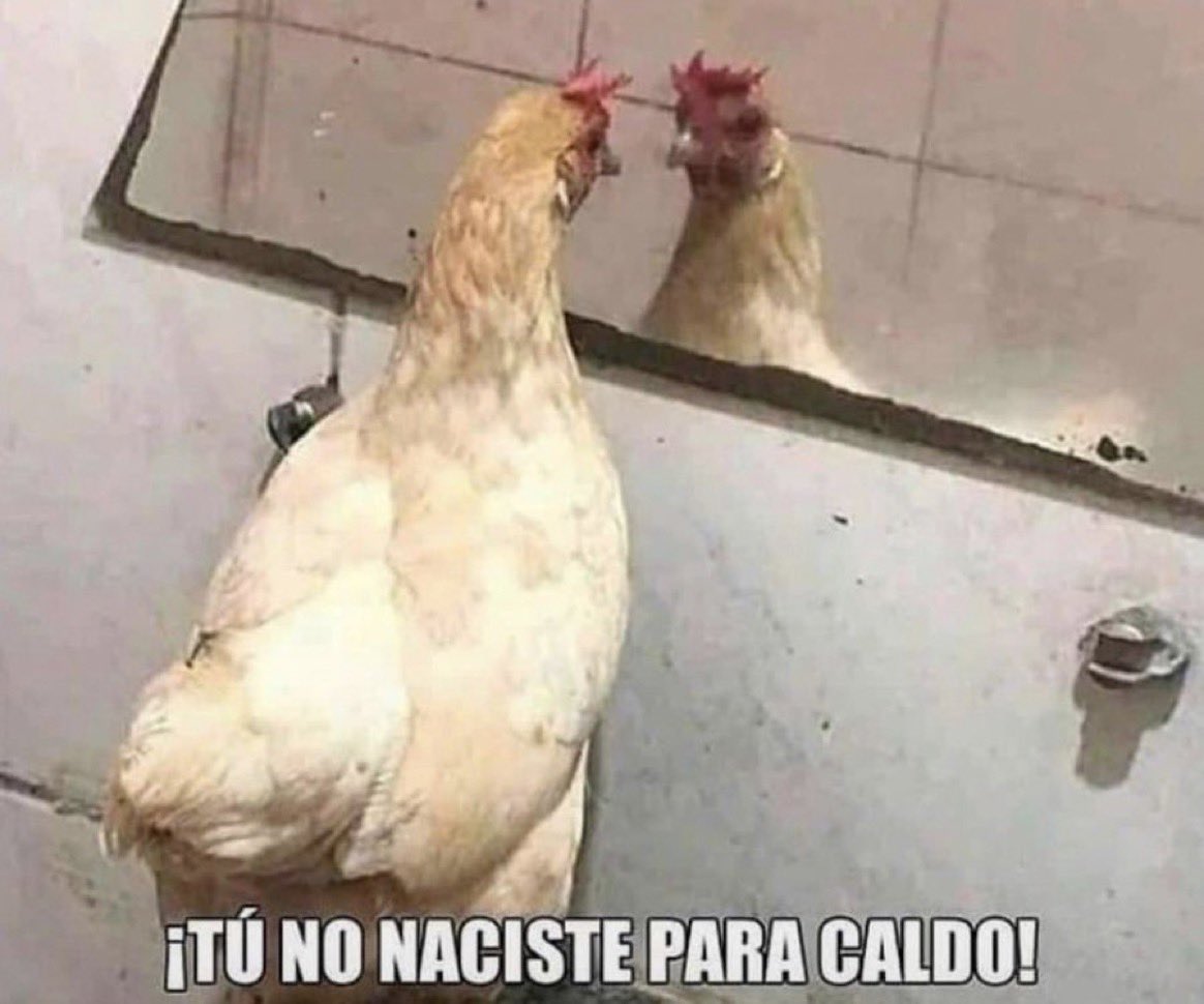 Guarromantico_'s tweet photo. A veces uno mismo tiene que darse la charla de motivación. https://t.co/3tMiIW7WW3