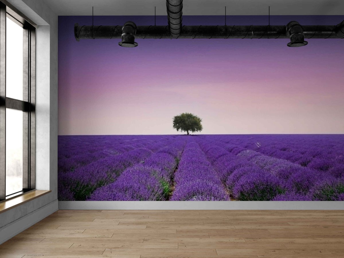 Self-adhesive Lavender Field Wall Mural Wallpaper
etsy.me/43oQg6f #purple #vinyl #entryway #artdeco #selfadhesive #decor #wallmurals #photomurals #muralwallpaper #provence #provencemurals #interiordecor #homeart #stickywallpaper #removablewallpaper #bedroom