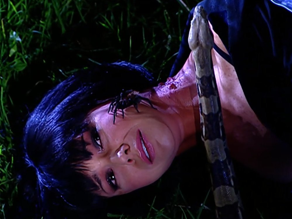 xLaTormenta's tweet photo. #LaTormenta #LaTormentaNova #LT153 Isabella termina estrangulada y devorada por una serpiente. https://t.co/dst8mfwvjr