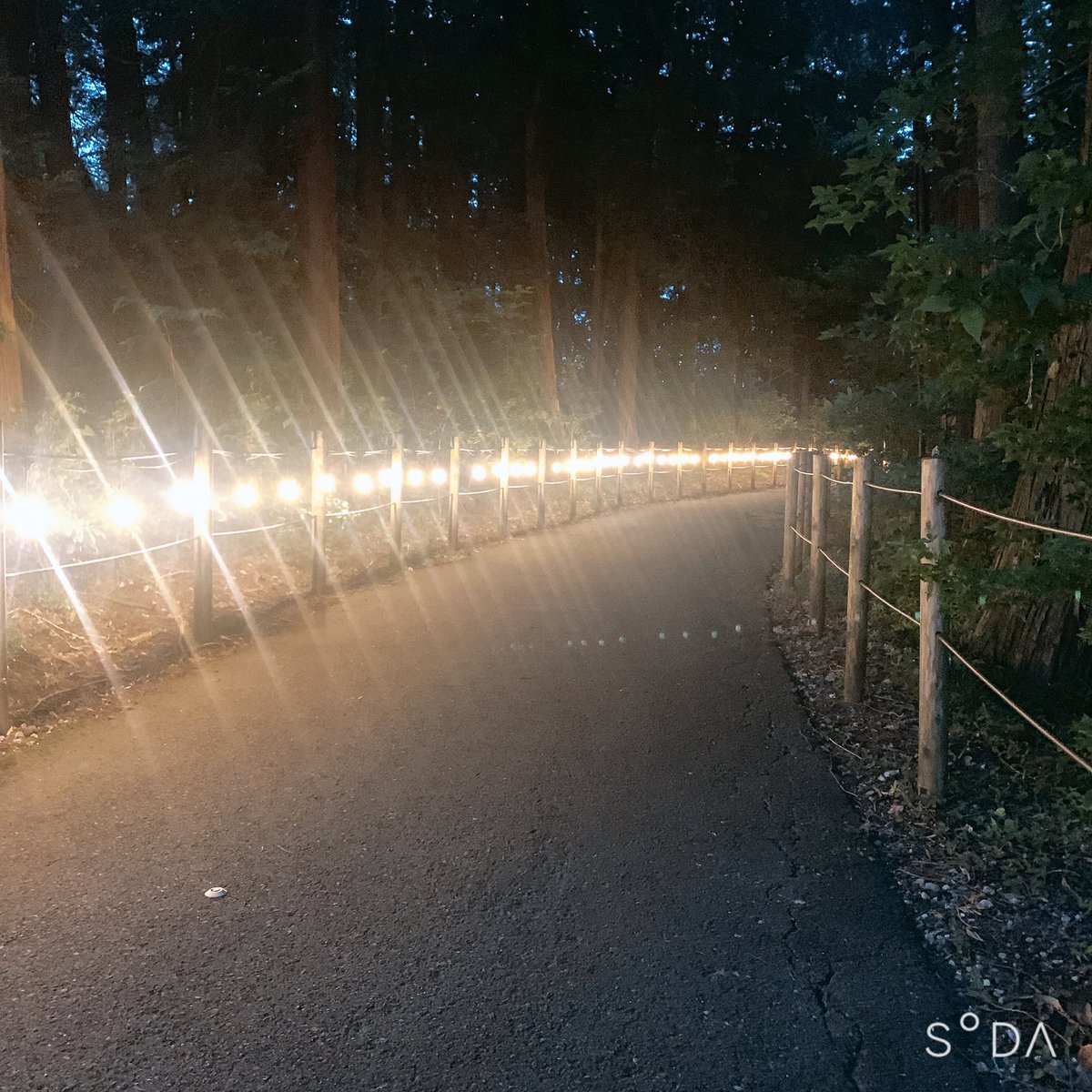 カメラレンズに異常があったらしいから撮れた奇跡の一枚📸

今日はデトックスand美味しい祭りの日でした(*´༥`*)♡

しっかり英気を養ったから次のあれこれも頑張るぞーーー💪(  ˙꒳​˙💪  ) https://t.co/ifNUzPVHu3