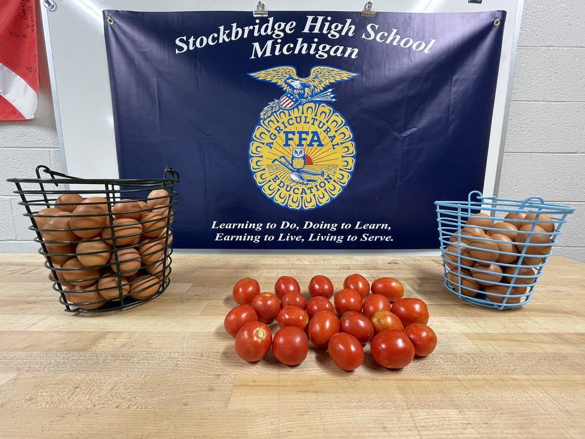 specProjectsLab's tweet image. We picked our first tomatoes of the season this morning. @SJSHSPanthers