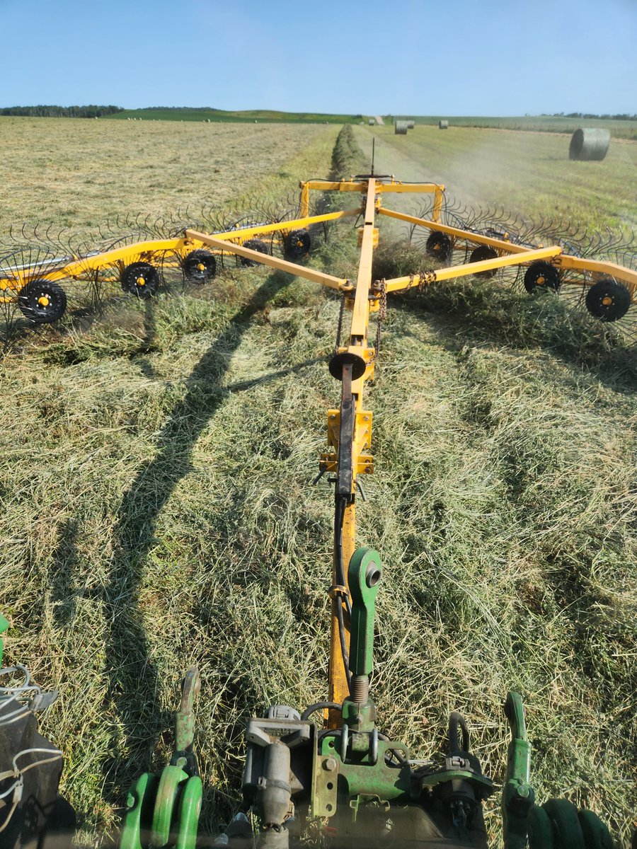 Cut Sunday night, tedder Monday noon, rake Wednesday morning,  bale Wednesday 6 pm ish. 3.3 bale acre alfalfa. #kubotatedder