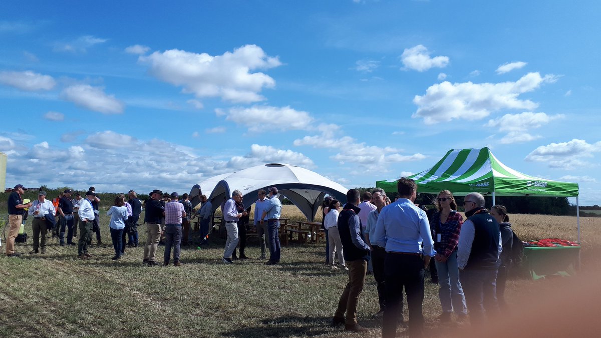 Laura Bouvet tweet media