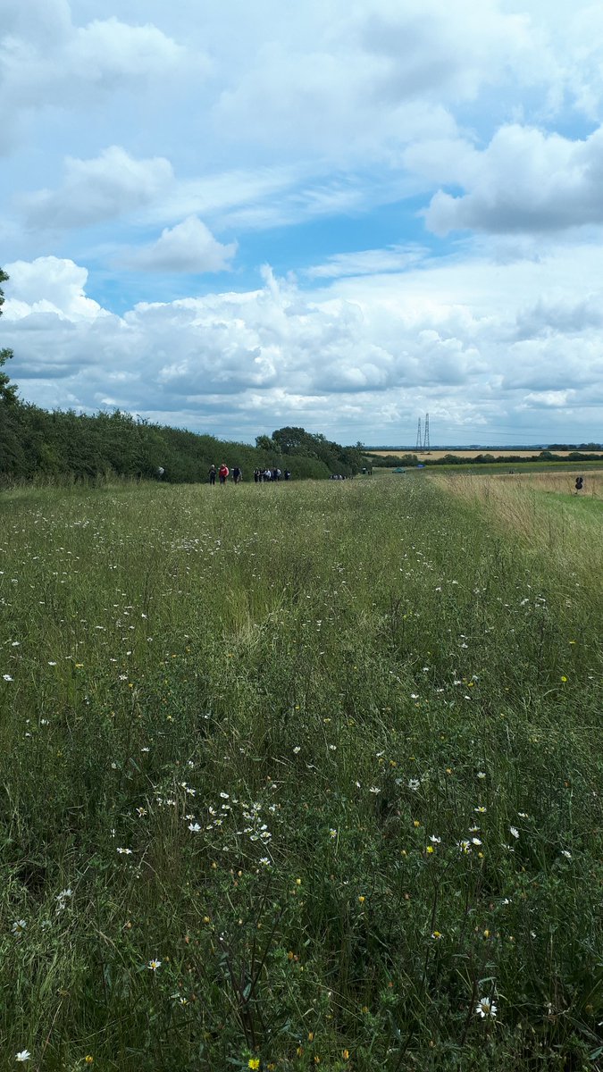 Laura Bouvet tweet media