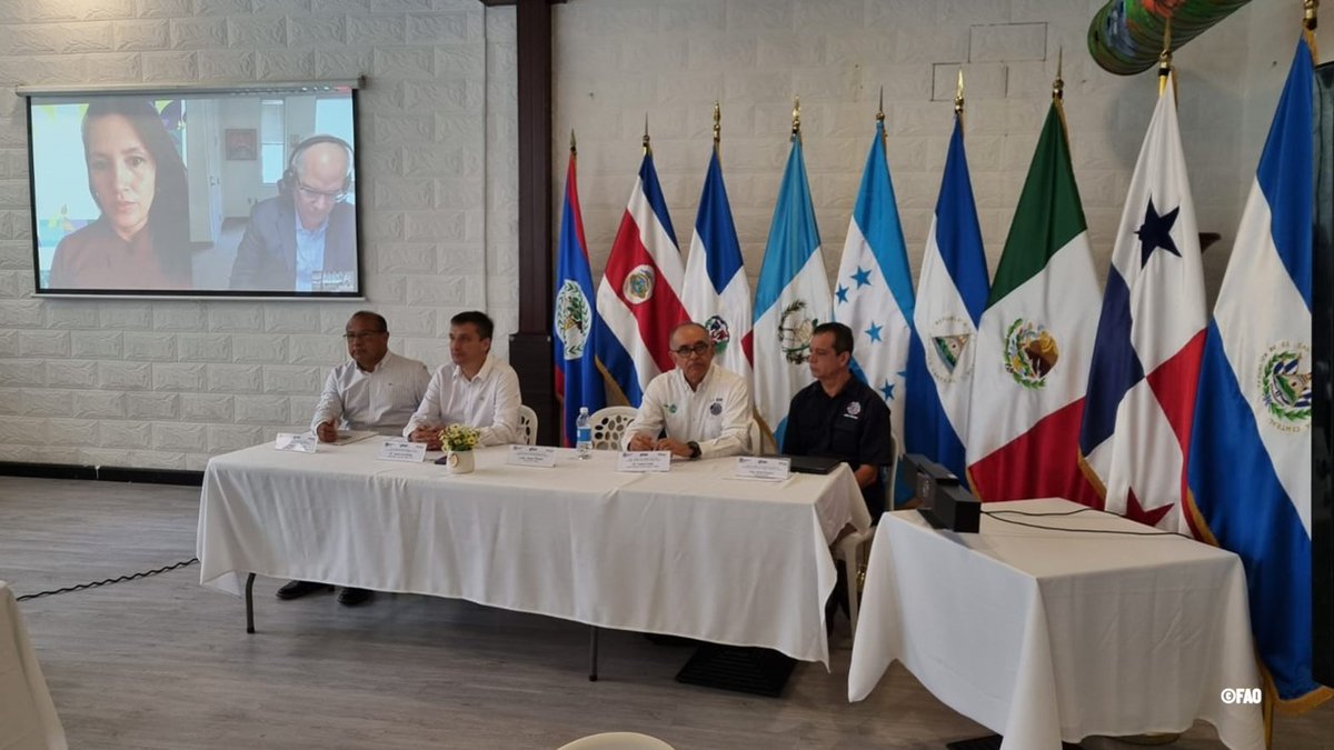 FAO Mesoamérica (@faomesoamerica) on Twitter photo 🍌Por su potencial peligro sobre la economía y la seguridad alimentaria, la <a href="/FAO/">Food and Agriculture Organization</a> mantiene un claro liderazgo, en asocio con <a href="/OIRSAoficial/">OIRSA</a>, el <a href="/FAOwbf/">World Banana Forum</a>, la <a href="/ippcnews/">IPPC | International Plant Protection Convention</a>, <a href="/SE_CAC/">SE-CAC</a>, <a href="/el_BID/">Banco Interamericano de Desarrollo</a>, las Organizaciones Naciones de Protección Fitosanitaria y otros aliados para enfrentar al #FocR4T 🍌Por su potencial peligro sobre la economía y la seguridad alimentaria, la <a href="/FAO/">Food and Agriculture Organization</a> mantiene un claro liderazgo, en asocio con <a href="/OIRSAoficial/">OIRSA</a>, el <a href="/FAOwbf/">World Banana Forum</a>, la <a href="/ippcnews/">IPPC | International Plant Protection Convention</a>, <a href="/SE_CAC/">SE-CAC</a>, <a href="/el_BID/">Banco Interamericano de Desarrollo</a>, las Organizaciones Naciones de Protección Fitosanitaria y otros aliados para enfrentar al #FocR4T