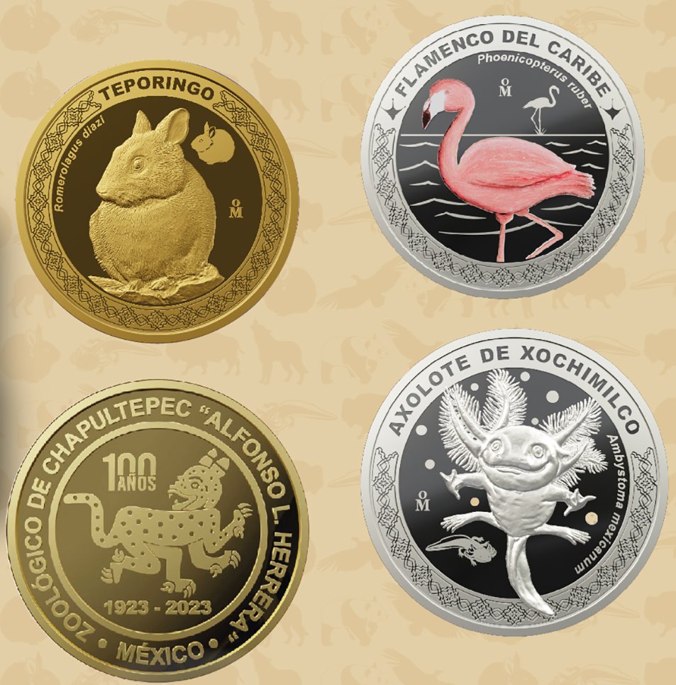 parentesis's tweet image. ¡La medalla del ajolote es lo más hermoso que verás hoy! 😍🏅
Esta es la colección de medallas que la Casa de Moneda de México lanzó para conmemorar los 100 años del Zoológico de Chapultepec.

#medallas #colección #ZoológicodeChapultepec