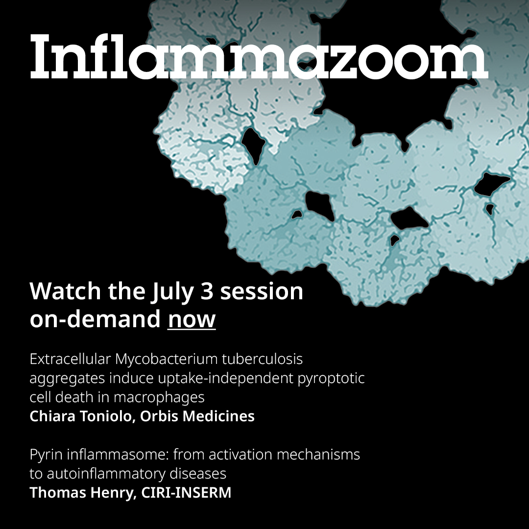 abcam's tweet image. Missed the last @inflammazoom session on July 3? Catch up on-demand here! 
bit.ly/3JVXNm6

@avi_cambi @cinflammasome @Toniolo_chiara

#inflammasomebiology #innateimmunity #pyrin
