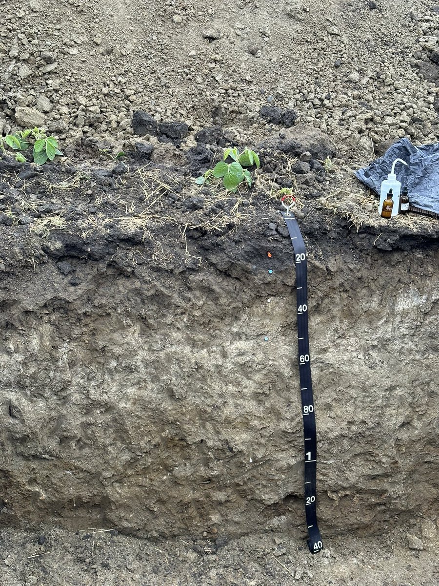 Sindhu Jagadamma tweet media