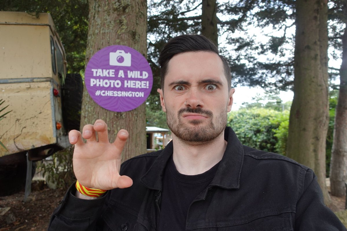 Attractions Beyond tweet media