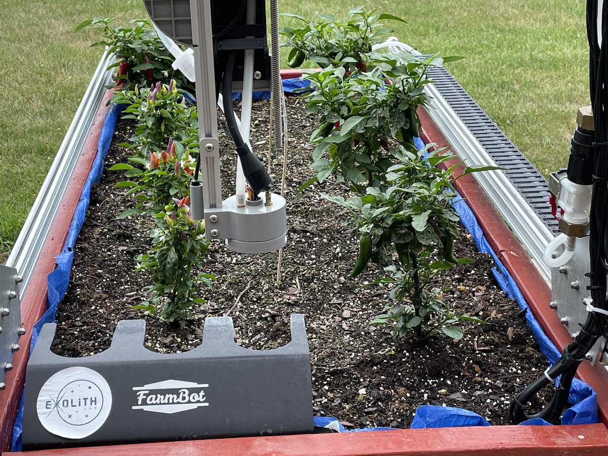specProjectsLab's tweet image. Ornamental peppers look good growing in our @farmbotio outside our classroom this summer. @SJSHSPanthers