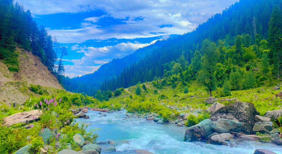 TasleemwaniJKAS's tweet photo. Amazing view of Singhpora Tunnel Point!One of the most beautiful tourist destination of Block Inderwal.
#OffbeatDestination #UnexploredPlace
@Devansh_IAS @JammuTourism @sunaina1977 @mykishtwar @Dilsekishtwar @XtremaAdventure https://t.co/KcSZTtUj5C