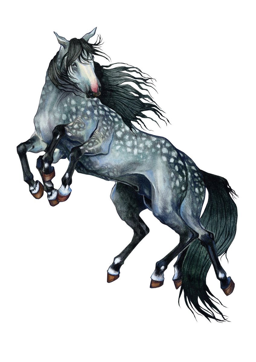 ThandaArt's tweet image. Sleipnir ✨