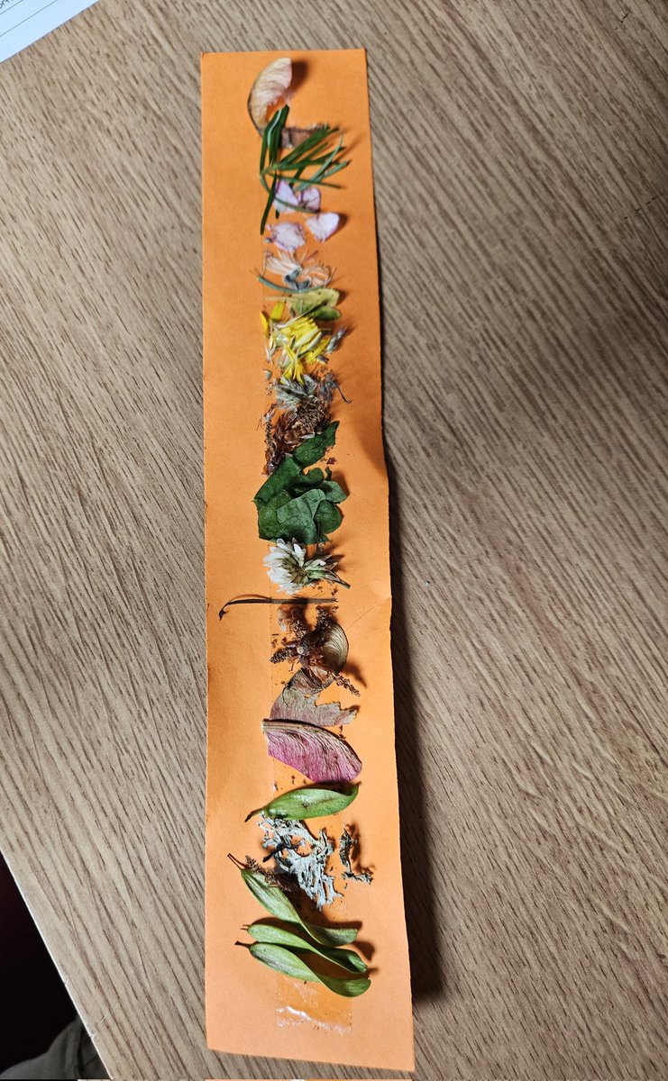After school forest school tribe made nature inspired story sticks
@WarberryLAP @LAPacademies #raindidnotstopplay <a href="/Outdoors_Group/">The Outdoors Group</a> #raindidnotstopplay