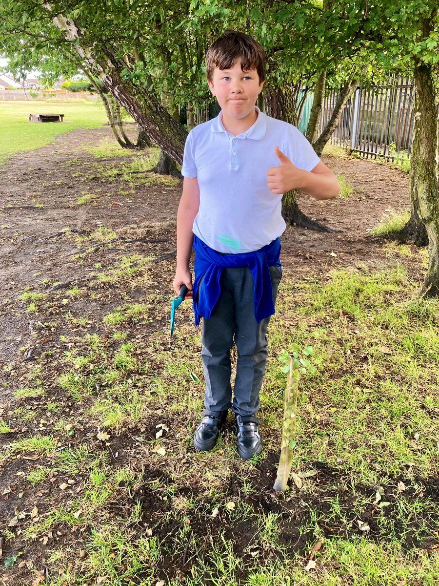 Redgate Gardener tweet media