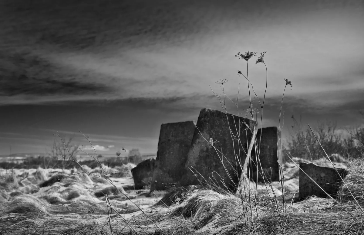 centropa's tweet photo. Introducing Maryna Dolhanova from Rivne State University of the Humanities, 2nd place winner of Centropa's EU Photography comp. What was most interesting for Maryna was that children's tombstones were made in the shape of a tree with cut branches. https://t.co/tdJsajdu52 https://t.co/DjT9CNSXsy