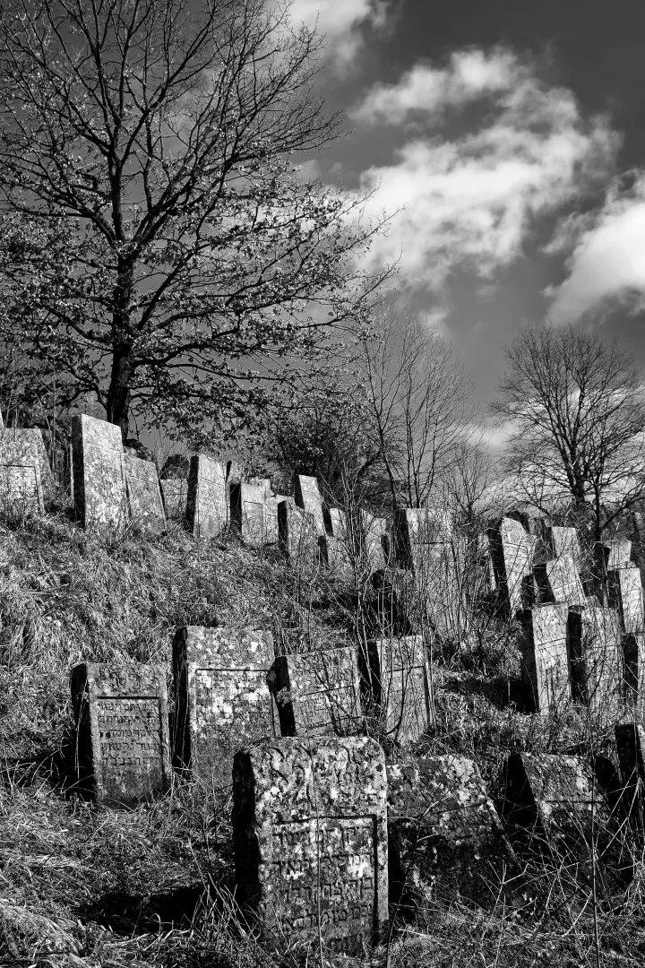 centropa's tweet photo. Introducing Maryna Dolhanova from Rivne State University of the Humanities, 2nd place winner of Centropa's EU Photography comp. What was most interesting for Maryna was that children's tombstones were made in the shape of a tree with cut branches. https://t.co/tdJsajdu52 https://t.co/DjT9CNSXsy